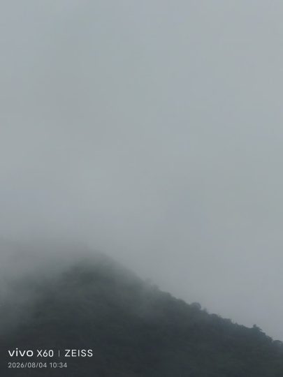 慧济拾光-慧济文化