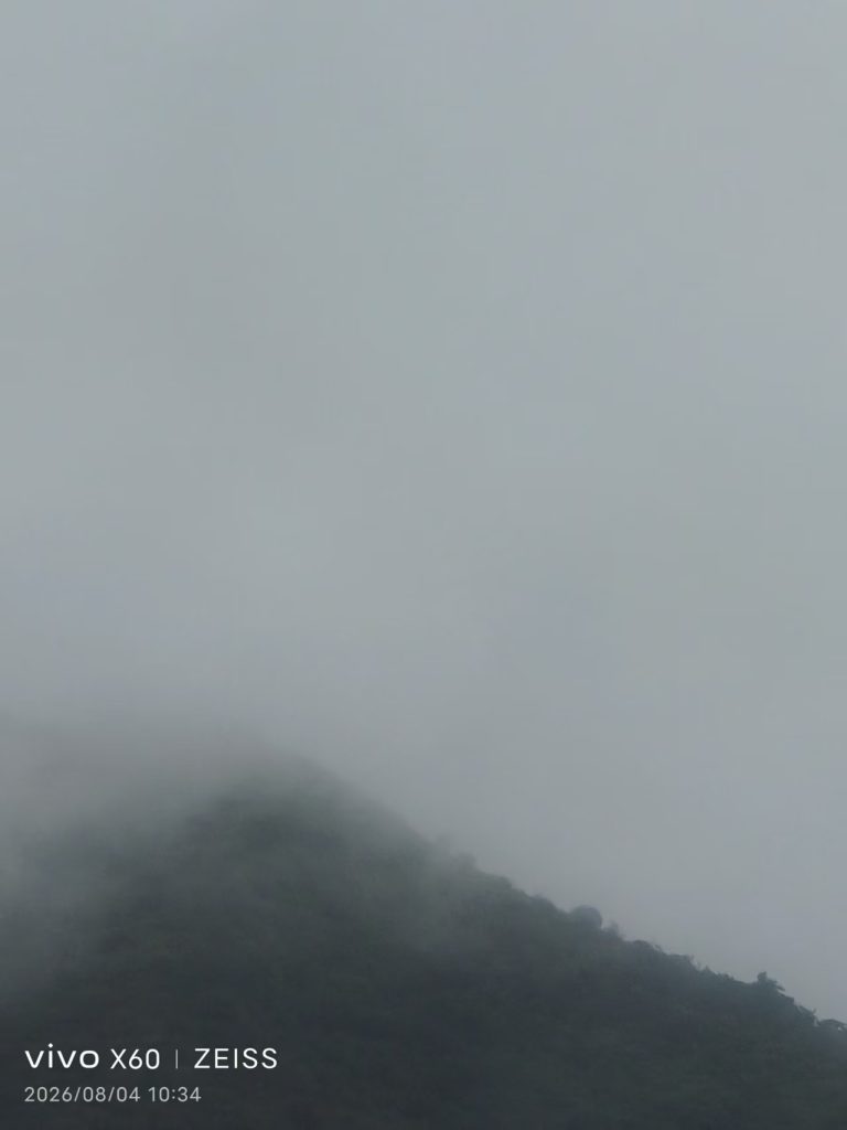 图片[1]-慧济拾光